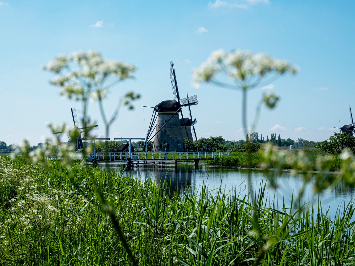 Heb je ooit van Kinderdijk en de molens gehoord? | Gastblog door Camiel